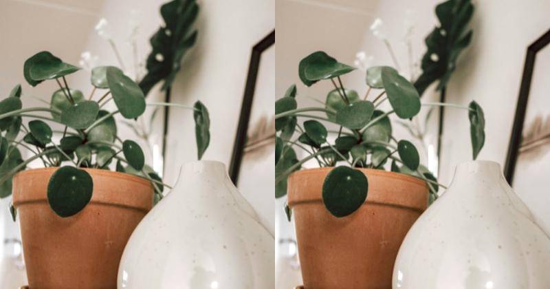 Unsplash/AntoniaKofod